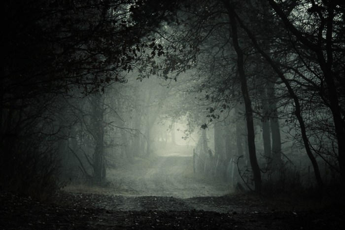 out_of_the_dark_____by_mosredna